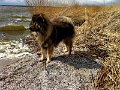 usedom2015 (6)